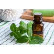 Perna ochi aromata - Menta