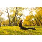 Yoga de la vara, la toamna: Reteta pentru echilibru