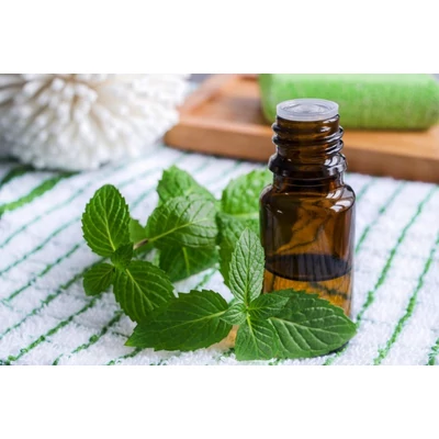 Perna ochi aromata - Menta